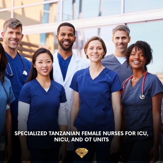 Why Saudi Hospitals Are Turning to Tanzania for Specialized ICU and NICU Nursing Talent